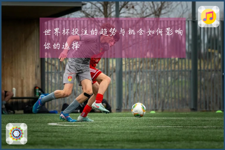 世界杯投注的趋势与机会如何影响你的选择