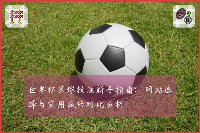 世界杯买球投注新手指南：网站选择与实用技巧对比分析