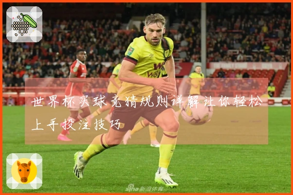 世界杯买球竞猜规则详解让你轻松上手投注技巧