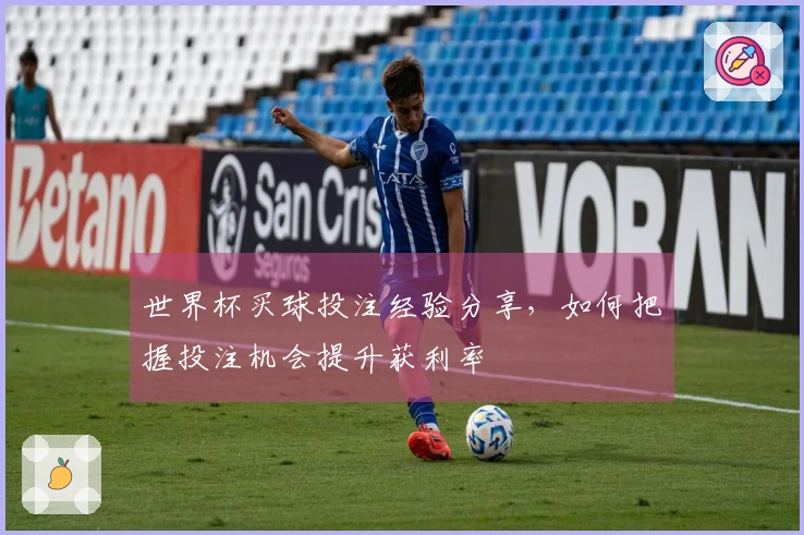 世界杯买球投注经验分享，如何把握投注机会提升获利率