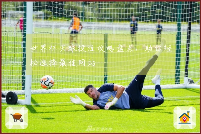 世界杯买球投注攻略盘点，助你轻松选择最佳网站
