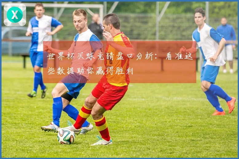 世界杯买球竞猜盘口分析：看准这些数据助你赢得胜利